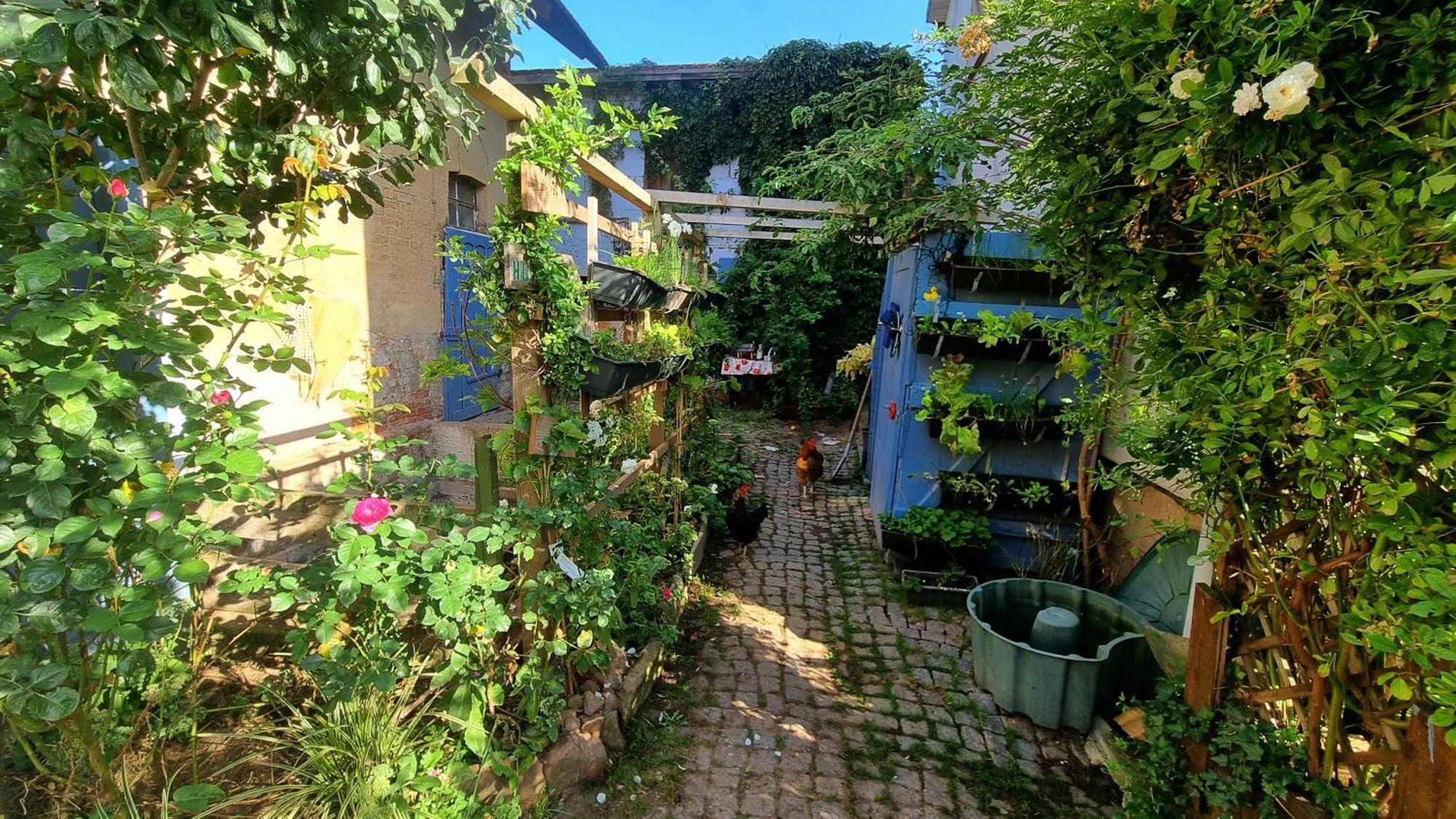 Bauernhof Privatzimmer Hortus Sandrine Gemeinschaftsbad Free Wifi Hausbreitenbach Luaran gambar
