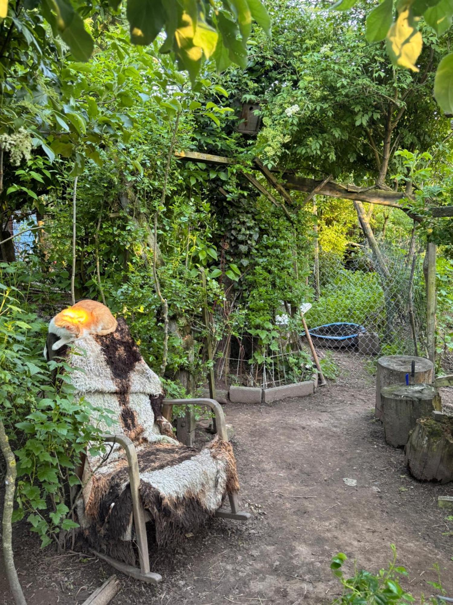 Bauernhof Privatzimmer Hortus Sandrine Gemeinschaftsbad Free Wifi Hausbreitenbach Luaran gambar